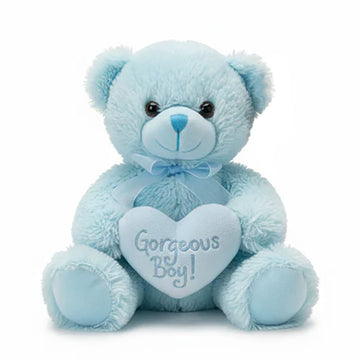 Gorgeous Boy Teddy Bear