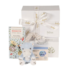 Hippo Hugs for Baby Boy