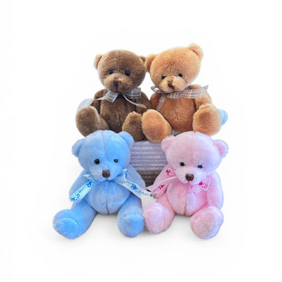 Cute Teddy Add-On Gift