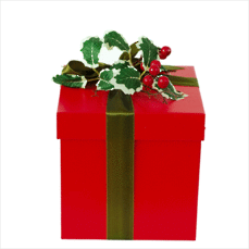 Holly Jolly Gift Box