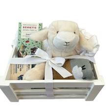 A Kiwi Baby Gift Crate