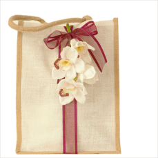 Prosecco Celebration Gift Bag