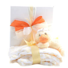 Baby Gift Baskets Baby Shower Gift Ideas Baby Gifts